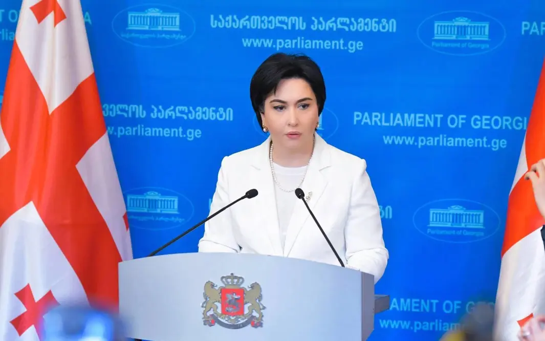 ეკა ბესელია: კონსტიტუციაში ვერ ნახავთ ვერცერთ ნორმას, სადაც წერია, რომ თუ პრეზიდენტი არ იწვევს სხდომას, იწვევს ვინმე სხვა. ასეთი შეკრება იქნება კონსტიტუციის დარღვევა