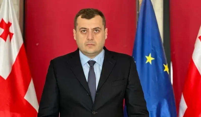 Temur Tsamtsishvili: “The annual rate of natural increase in Imereti amounts to -2,987 with 5,215 births and 8,202 deaths.”