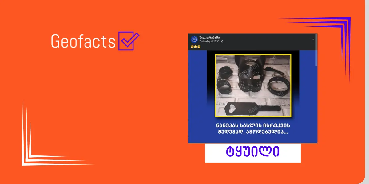 სოციალურ ქსელში ნანუკა ჟორჟოლიანის სახლის ჩხრეკასთან დაკავშირებით დეზინფორმაცია ვრცელდება