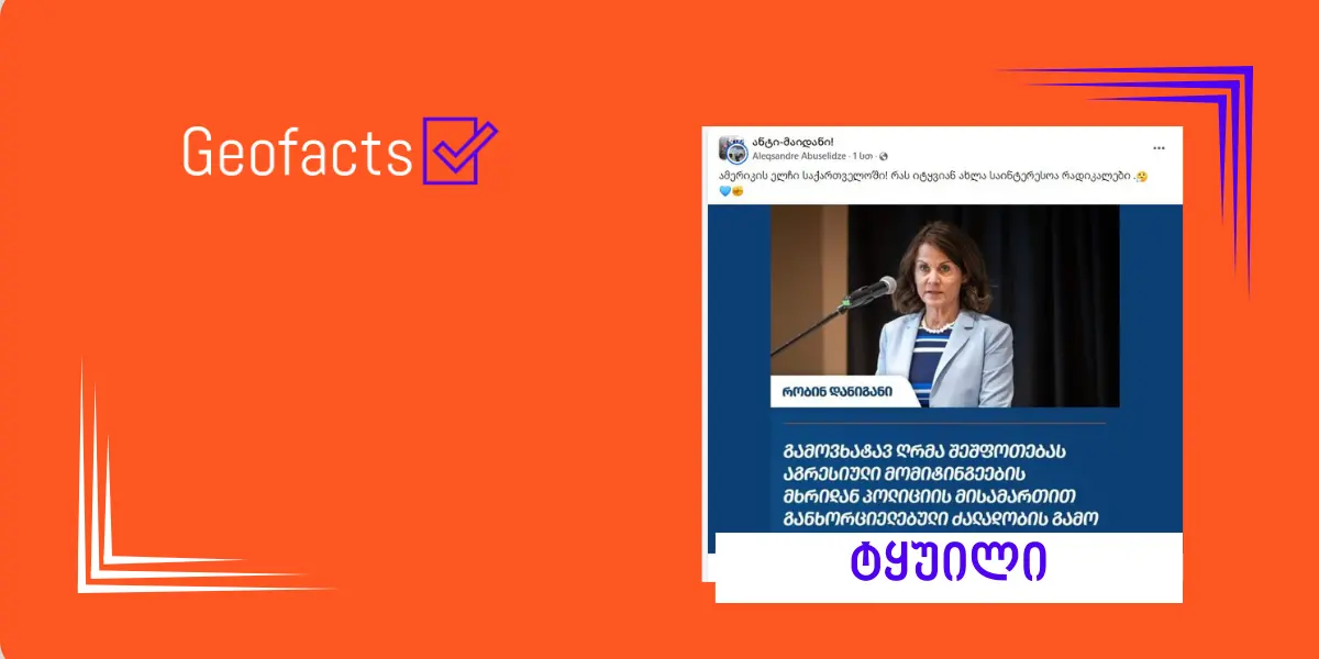 სოციალურ ქსელში აშშ-ის ელჩის ყალბი ციტატა ვრცელდება