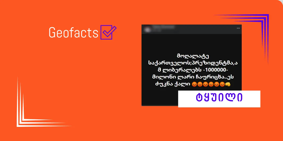 დეზინფორმაცია: საქართველოს პრეზიდენტმა ამ ლიბერალებს მილიონი ლარი ჩაურიცხა