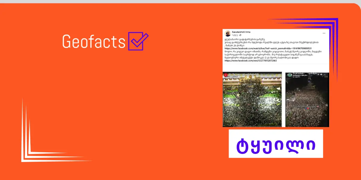 დეზინფორმაცია: სოციალურ ქსელში 28 ოქტომბრის აქციის ამსახველ კადრებად ხელოვნური ინტელექტის მიერ შექმნილი არარეალური კადრები გამოაქვეყნეს