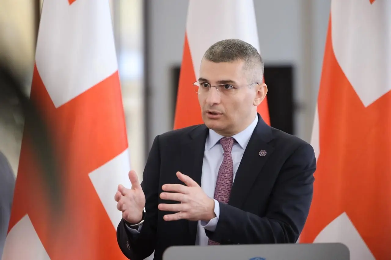 მამუკა მდინარაძე: გრანტების შესახებ საქართველოს კანონში შეტანილი ცვლილება ძალაში ჯერ არ შესულა